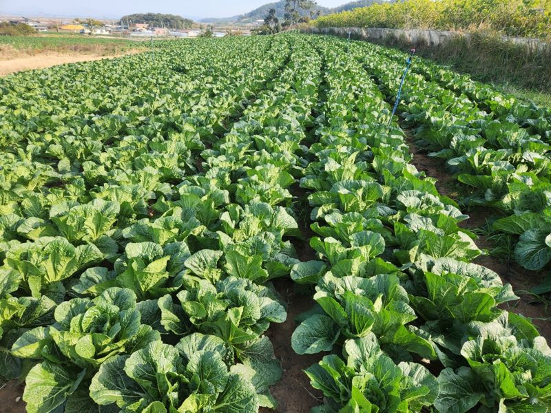 전남도, 농산물 생산자단체와 식품기업 연계사업 추진