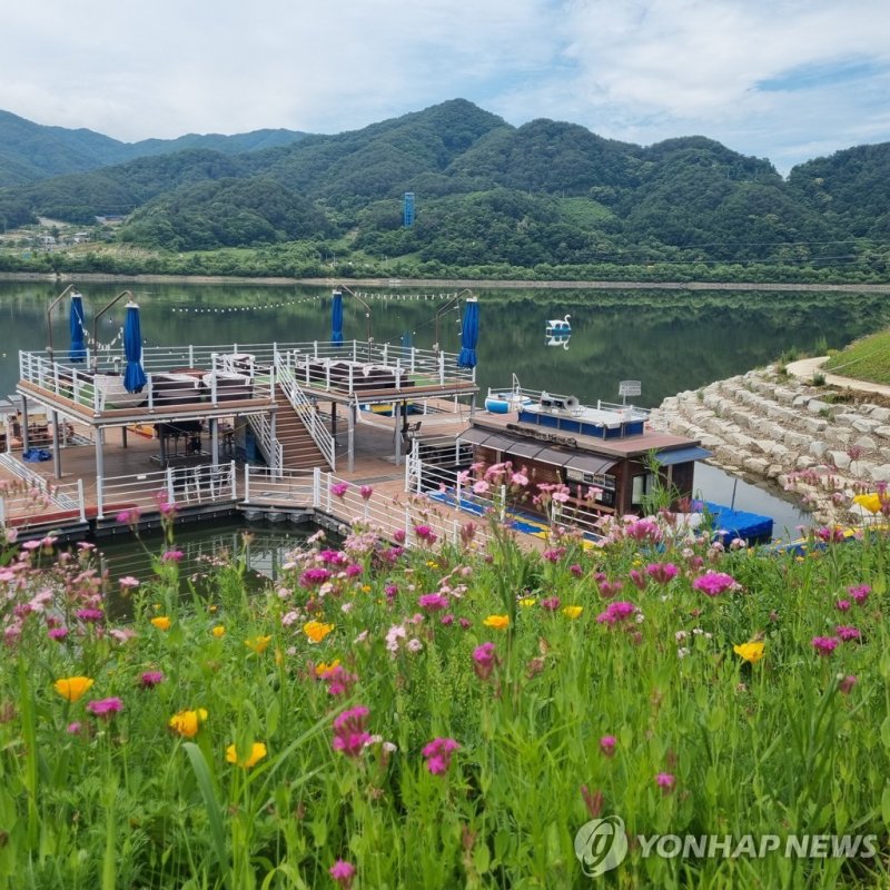 한반도섬에 조성한 야생화꽃밭 [양구군 제공. 재판매 및 DB 금지]