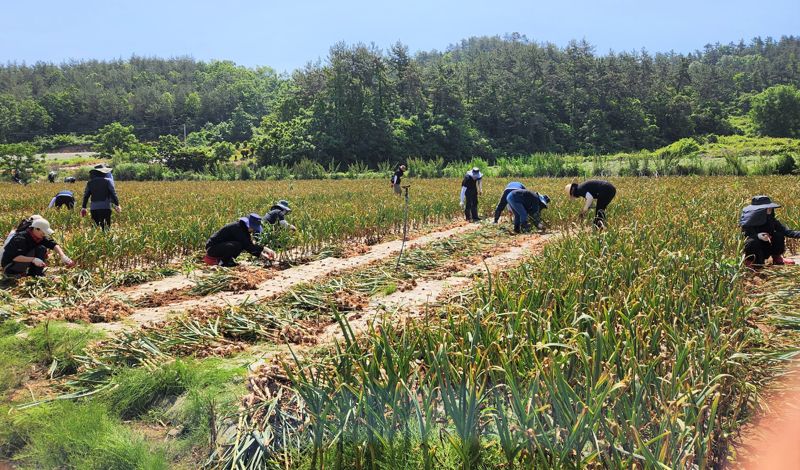 전남도, 봄철 영농기 농촌일손 돕기 추진