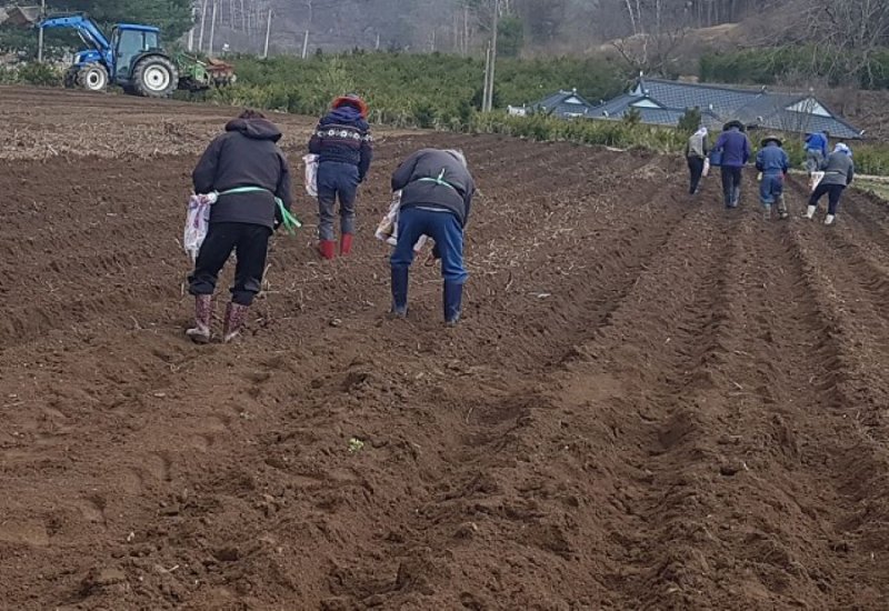 "생활 인구 늘려라"...강원도, 강원스테-이 공모사업 접수