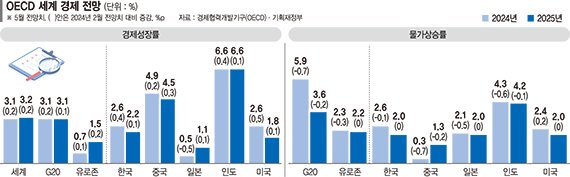 OECD "한국 반도체 수출 호조… 내수 하반기 이후 회복"