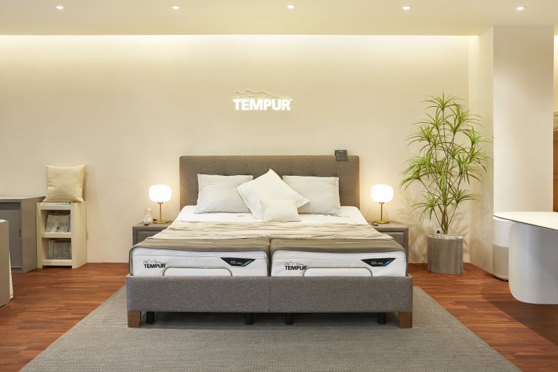 템퍼 라운지점 논현점 템퍼 프리마 플러스 미디엄·소프트·벨라 프레임·모션베드(템퍼코리아 제공)