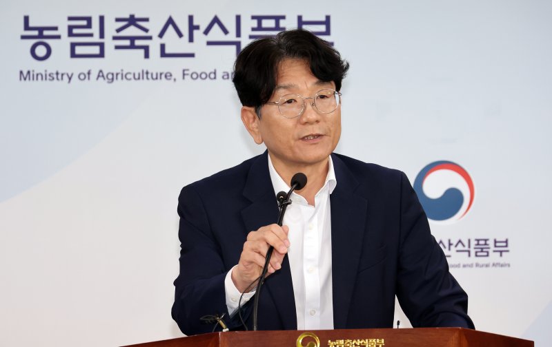 농식품부 "채소류 가격 전반↓...노지재배 출하 이후 안정세 진입"