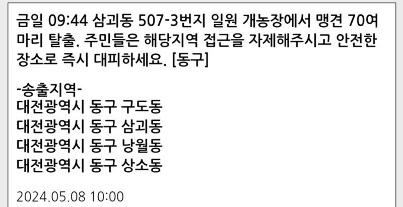 대전 동구가 8일 오전 10시 발송한 '맹견 주의' 재난안전문자.