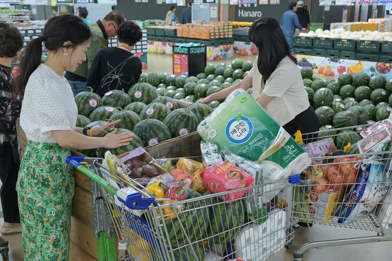 농협유통 하나로마트 창립 29주년 행사...농축수산물 최대 70% 할인