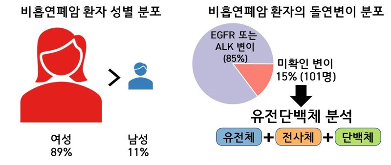 비흡연자의 폐암세포만 찾아 죽이는 치료제 찾았다