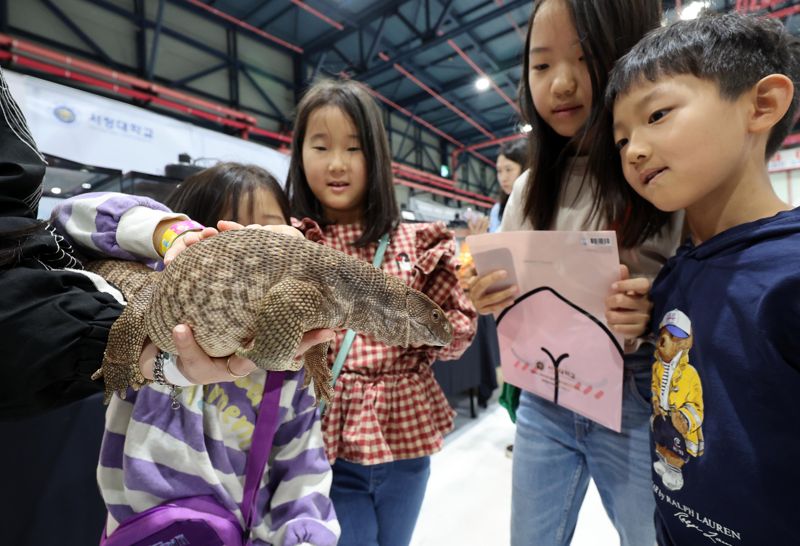 12일 서울 강남구 세텍(SETEC)에서 열린 ‘2024 희귀반려동물박람회’를 찾은 관람객들이 왕도마뱀과에 속하는 ‘사바나모니터’ 도마뱀을 살펴보고 있다. 사진=박범준 기자
