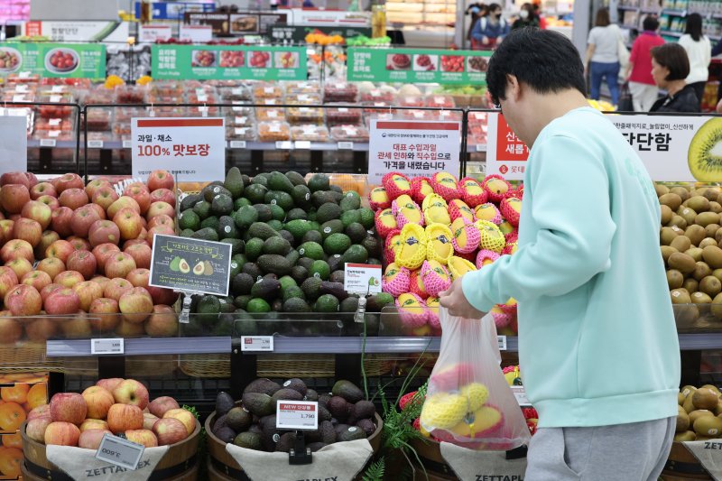 서울의 한 대형마트에서 시민들이 수입 과일을 살펴보고 있다. 2024.5.8/뉴스1 ⓒ News1 /사진=뉴스1