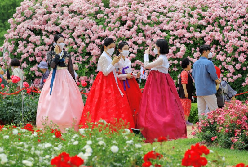 [곡성=뉴시스] 전남 곡성군은 5월 21일부터 6월 6일까지 17일간 펼쳐진 제12회 곡성세계장미축제에 28만1545명이 방문했다고 8일 밝혔다. (사진=곡성군청 제공). photo@newsis.com *재판매 및 DB 금지