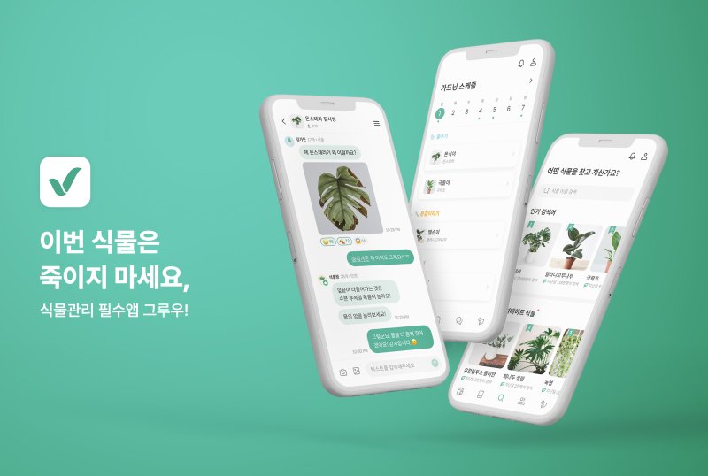 스타트업 그루우 식물관리 앱 그루우(그루우 제공)