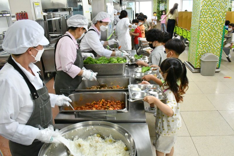 “점심은 사슴 고기 카레”..日 초·중교 1000곳, 학교 급식에 야생 멧돼지·사슴고기 쓴다