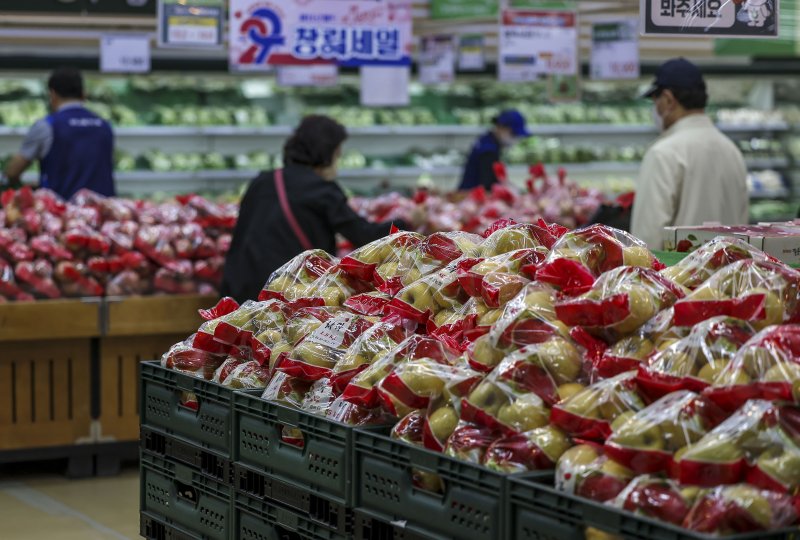 정부 "내수 가세로 경기 회복 흐름 확대…물가는 굴곡"(종합)