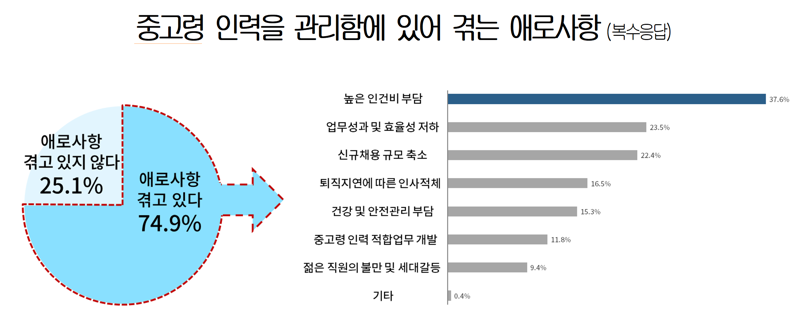 대기업 10곳 중 3곳만 '60세 이상 고용'… 임금체계 개선 시급