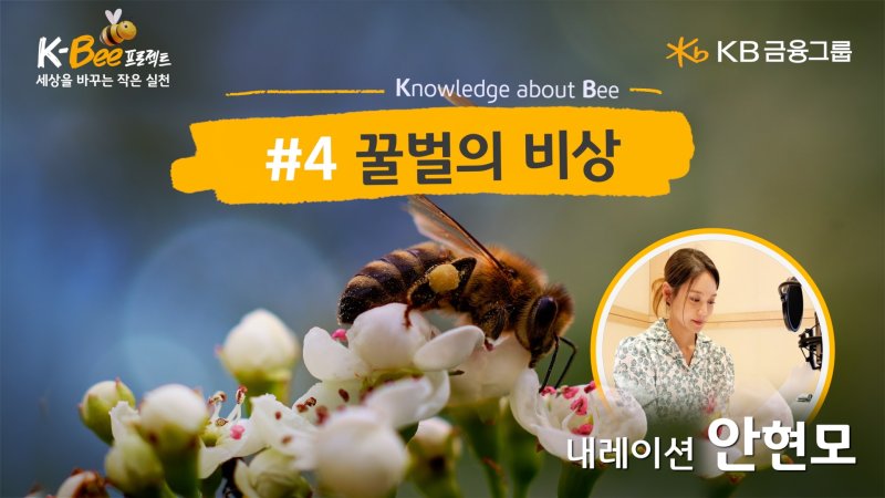 KB금융, 세계 벌의 날에 K-BEE 프로젝트 영상 캠페인 ‘꿀벌의 비상’ 공개