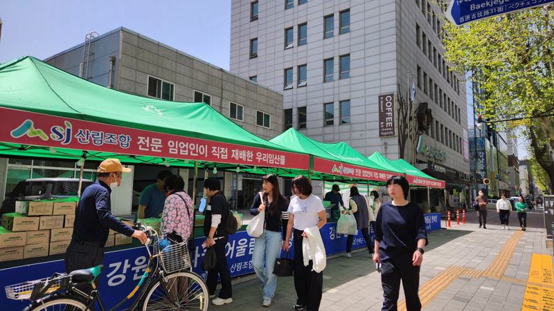 산림조합중앙회, '임산물 직거래 장터' 참여 임업인 모집