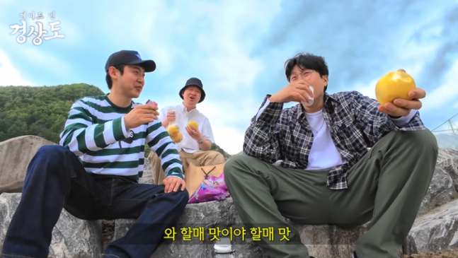 "이럴 줄이야"...피식대학에 7200만원 쓸뻔한 군위군, 어쩌나 - 뉴스 썸네일 이미지