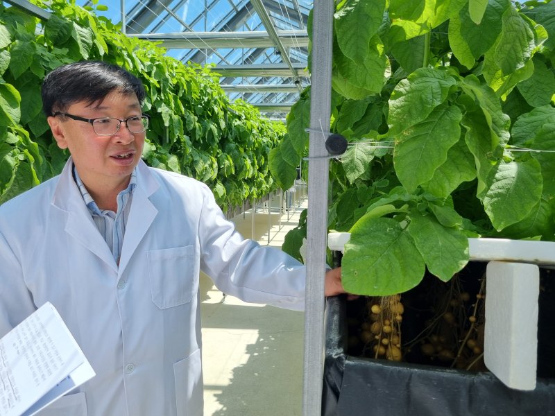 [평창=뉴시스] 임하은 기자 = 조지홍 농진청 고령지농업연구소장이 23일 평창 대관령에 위치한 고령지농업연구소에서 씨감자의 수경재배에 대해 설명하고 있다. rainy71@newsis.com 2024.05.23.