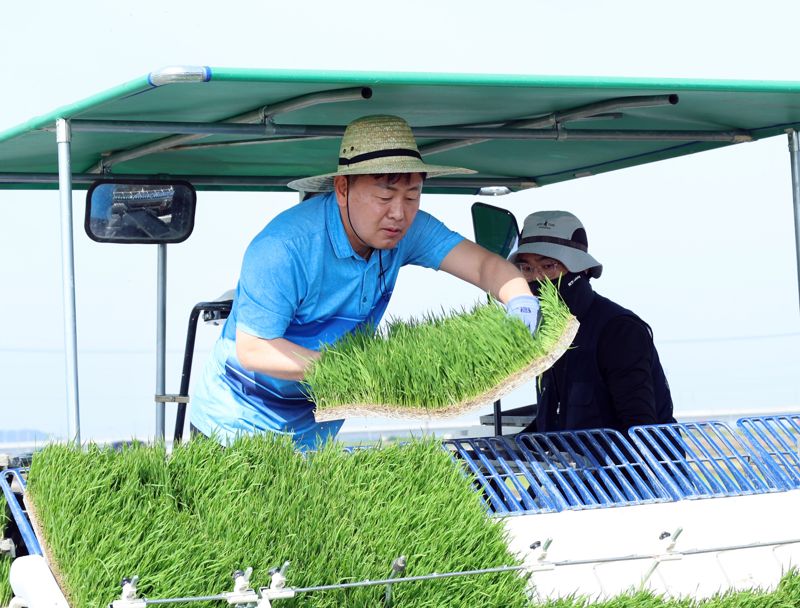 김관영 전북특별자치도지사(왼쪽)가 27일 김제 봉남면에 있는 논을 찾아 모내기 행사에 참여했다. 전북도 제공