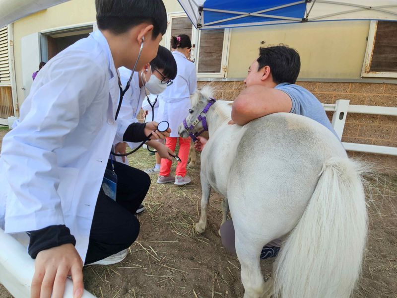 '말을 통한 교감·힐링'..렛츠런파크 부산경남 사회공헌활동 돋보인다