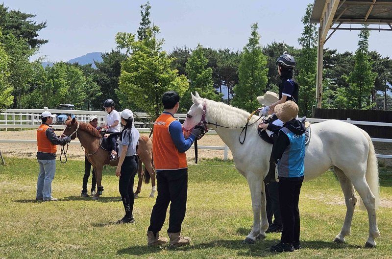 백마디 말(言)보다 강한 위로… 말(馬)과 함께 심신 치유해요