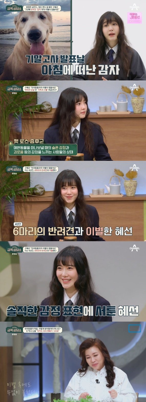 구혜선 4년간 6마리 반려견과 이별…오은영, 공감하며 눈물