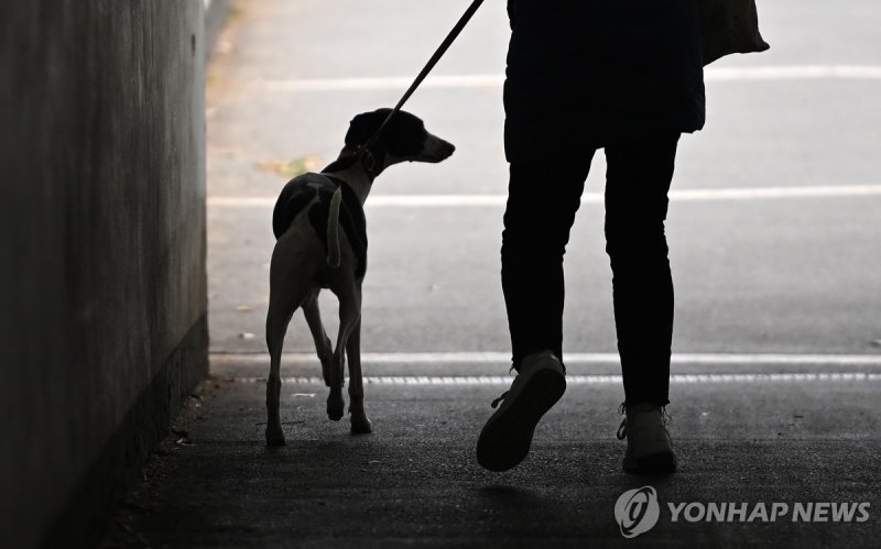 개 짖는 소리에 넘어진 사람이 치료비 요청...법원의 판단은[최우석 기자의 로이슈]