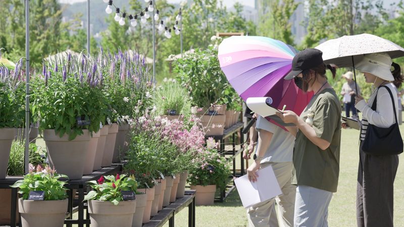 이달 31일부터 다음달 9일까지 국립세종수목원 축제마당에서 진행되는 ‘2024년 정원식물 전시품평회’에서 국민품평단이 출품식물을 품평하고 있다.