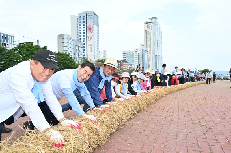 2000명 맞붙어 힘겨루기 장관.. 울산 태화강 마두희 축제 14일 개막