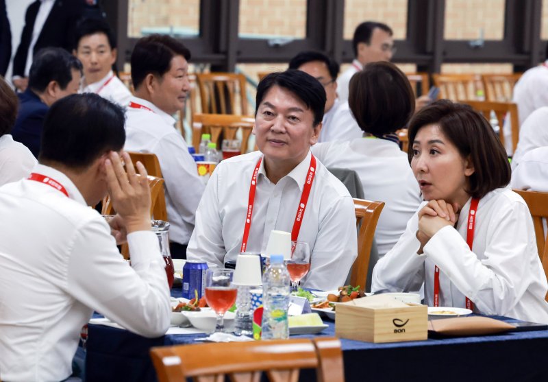 안철수 의원 1호 법안 '고위험AI 통제법' 발의