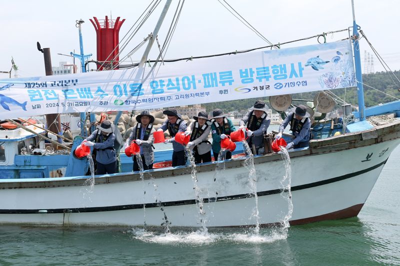 지난달 31일 한국수력원자력 고리원자력본부는 부산시 기장군 장안읍 월내항에서 '원전 온배수 이용 양식 어패류 방류행사'를 열고 강도다리 치어 3만 미와 전복치패 2만 미를 방류했다. 이광훈 고리원자력본부장(왼쪽 세번째)이 원전 온배수로 키운 어패류를 주변 해역에 직접 방류하고 있다. 한국수력원자력 고리원자력본부 제공