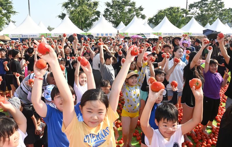 '황금토마토를 찾아라' 퇴촌 토마토축제 14일 개막...명실상부 전국 1등 토마토 축제