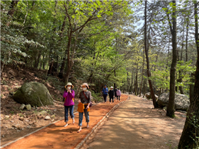 부산 곳곳서 '맨발 걷기 즐겨요'...구마다 특색 있는 산책로 조성