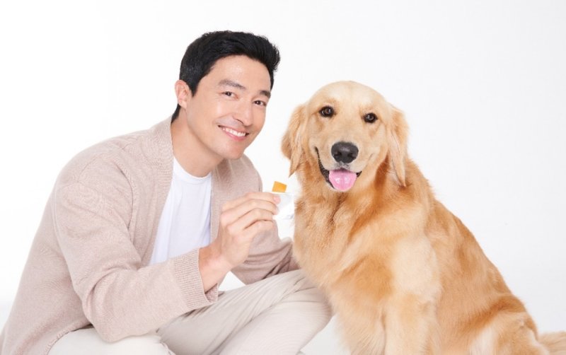 "바빠서 댕냥이 양치 못한 날, 개껌·필름구강제 꼭 챙겨주세요"[Weekend 반려동물]