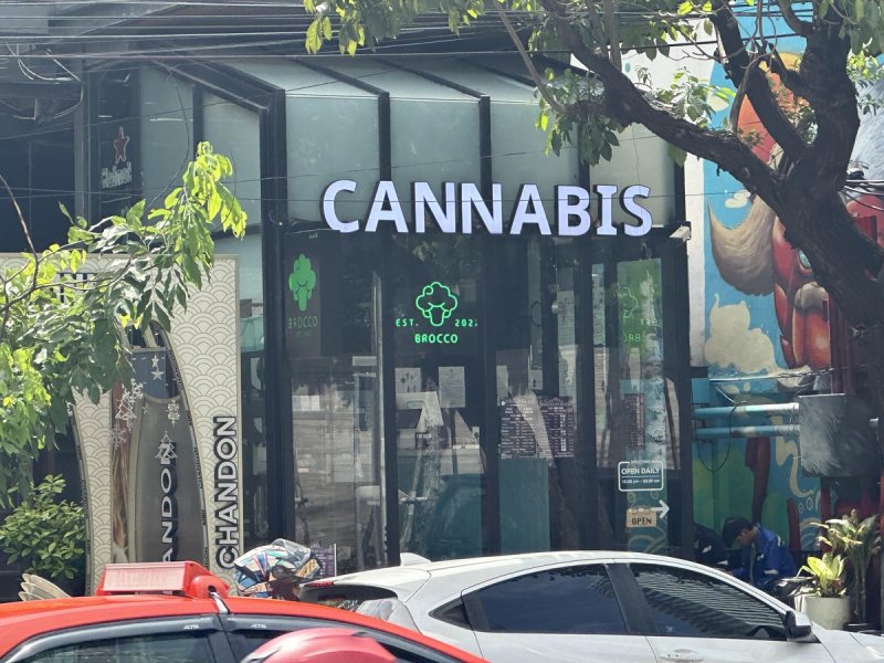 태국 거리 대마 판매점 (방콕=연합뉴스) 강종훈 특파원 = 태국 방콕 시내의 한 대마 제품 판매점.