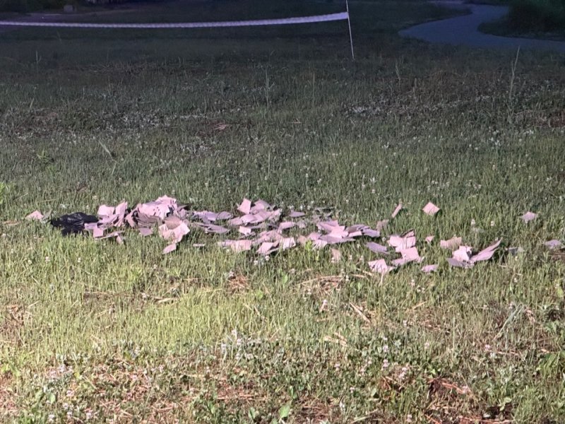 [고양=뉴시스] 9일 경기 고양시 덕양구 화전동 창릉천 인근에서 발견된 북한 오물풍선 잔해. (사진=독자제공) 2024.06.09 photo@newsis.com