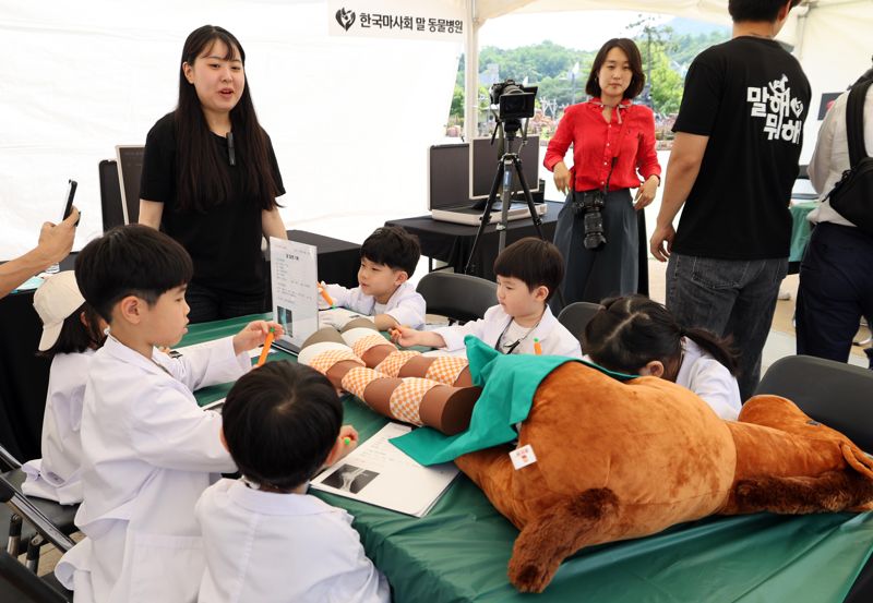 9일 경기도 과천시 렛츠런파크 서울 포니랜드를 찾은 어린이들이 '말 복지에 관한 프로그램'중 하나인 수의사 체험을 하고 있다. 사진=박범준 기자
