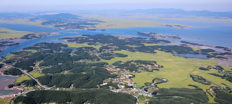  충남도, ‘벼 재배’ 간척지서 ‘미래 먹거리’ 키운다