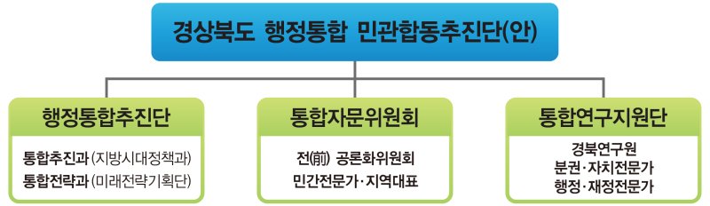 경북도 행정통합 민관 합동추진단 조직도. 뉴시스