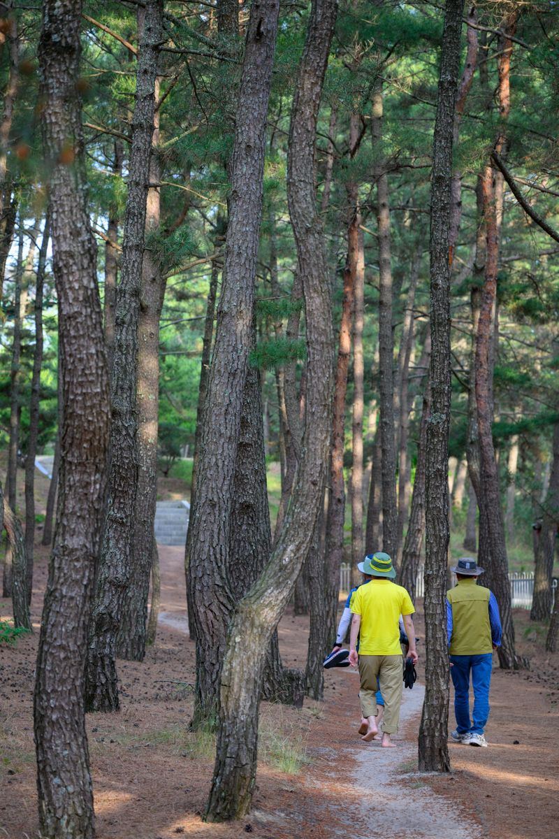 시원하게 풍덩! 건강하게 한발! 울진으로 컴온! [Weekend 레저]