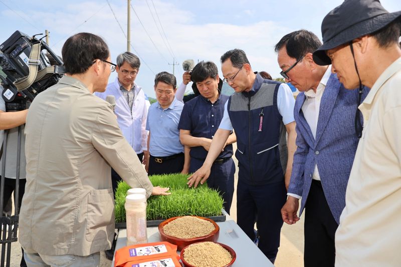 해남군, 장립종 쌀 재배 수출로 해외시장 공략 나선다