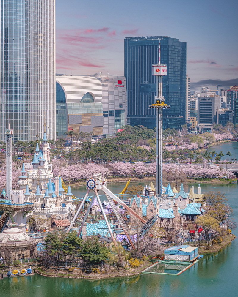 벚꽃이 활짝 핀 롯데월드 어드벤처(클룩 제공)