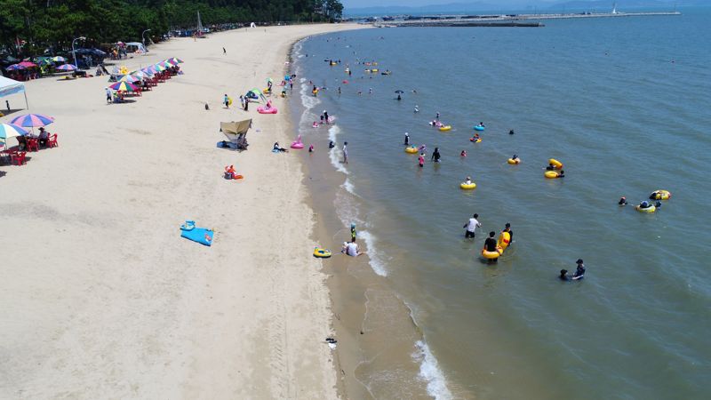 보성군, 7월 6일 율포솔밭해수욕장 개장