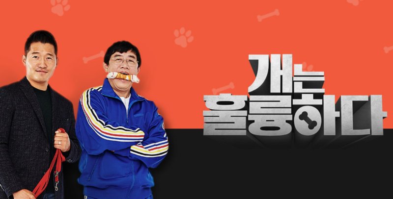 KBS 2TV 개는 훌륭하다