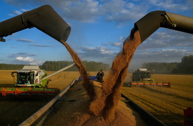 기후 위기와 지정학적 긴장 속에 전 세계가 '식량 전쟁'에 나설 것이라는 경고가 나왔다. 지난해 9월 8일(현지시간) 러시아 옴스크 지역에서 농민들이 밀을 수확하고 있다. 로이터 뉴스1