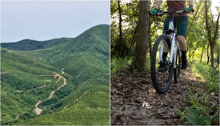 강릉서 자전거 여행 중 실종된 50대, 이틀 만에 숨진 채 발견