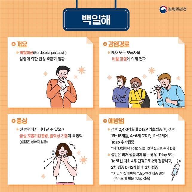 백일해 관련 카드뉴스. 전북도 제공