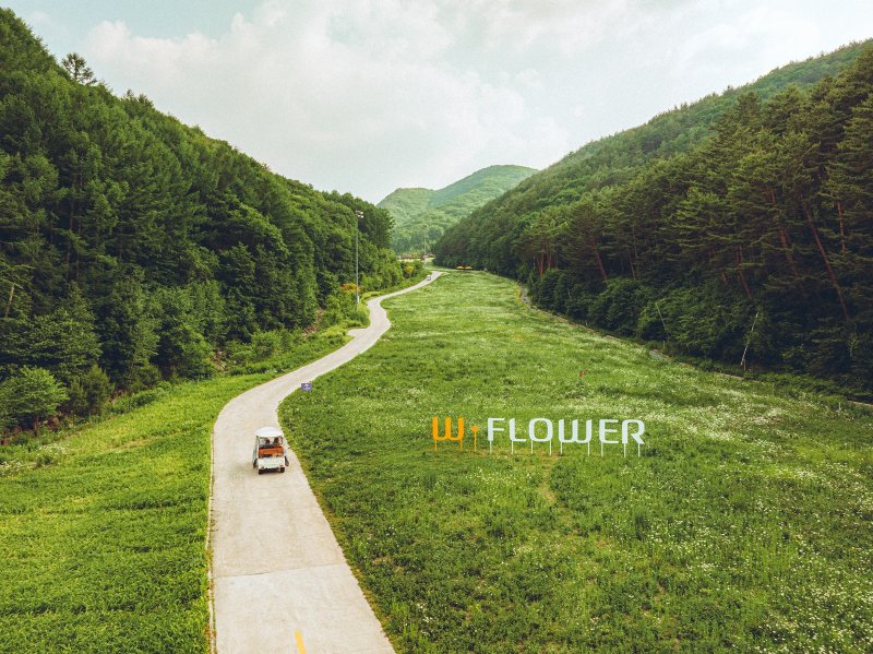 야생화 카트투어 *재판매 및 DB 금지