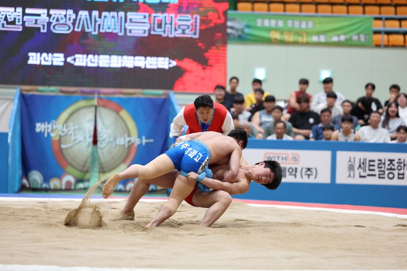 20일 개막한 '괴산유기농배 전국장사씨름대회'에서 선수들이 모래판 최강자 타이틀을 놓고 자웅을 겨루고 있다.(괴산군 제공)/뉴스1