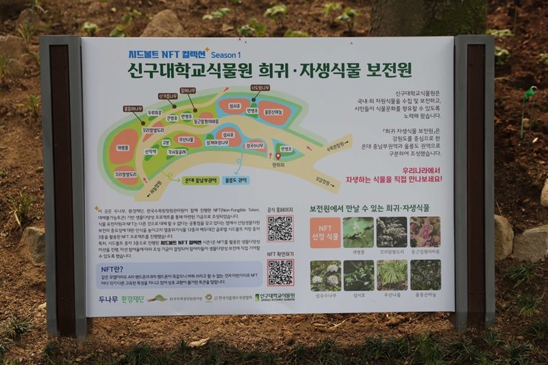 NFT로 멸종위기식물 보전지 조성됐다 [코인브리핑]