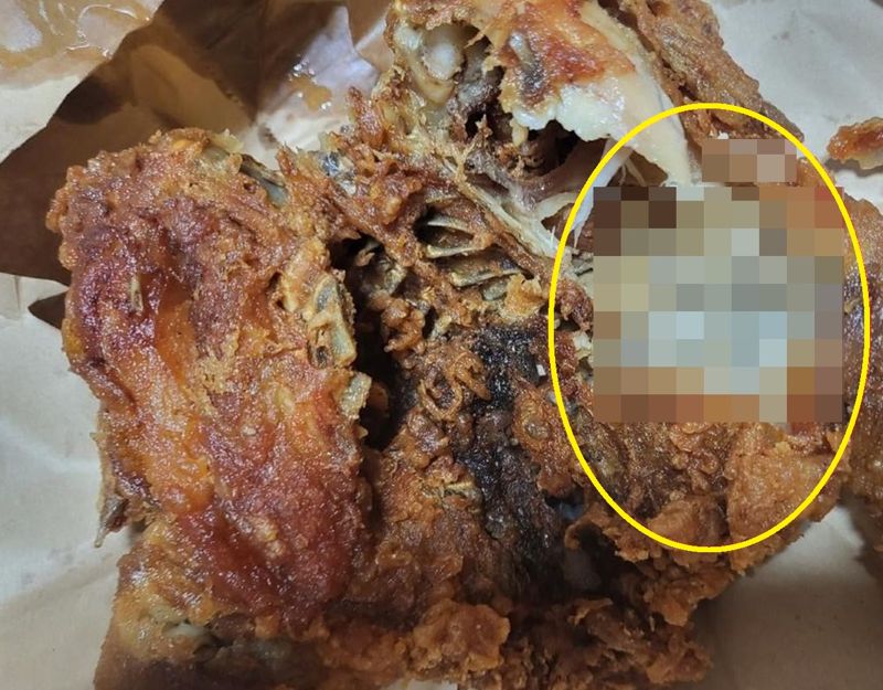 치킨의 닭다리 부위에 구더기가 잔뜩 붙어있는 모습. 사진=온라인 커뮤니티 갈무리